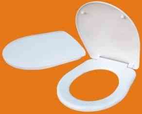 Сиденье для унитаза УКЛАД  с микролифтом  СУ 70.06.80    "ЛИРА" КИР. КЕРАМ.    (г. Псков)
